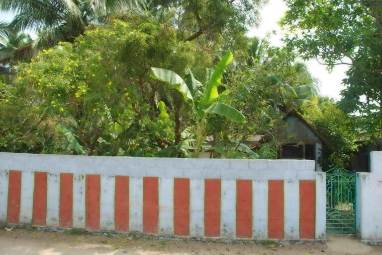 WhatsApp Image 2025-01-18 at 05.05.00_a45db123