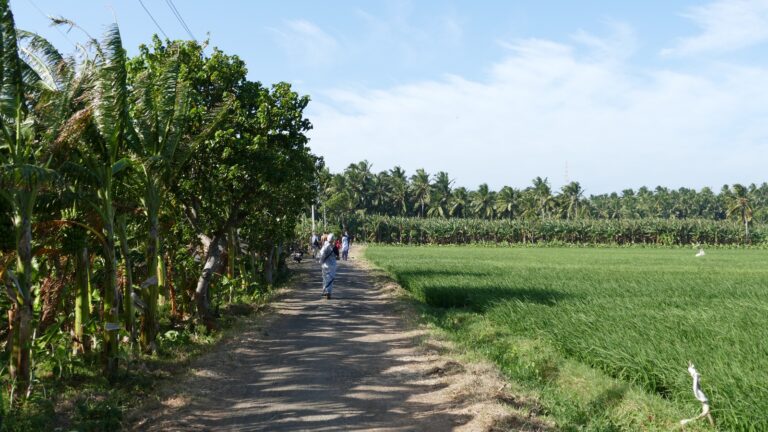 WhatsApp Image 2025-01-18 at 05.56.10_2b46935e