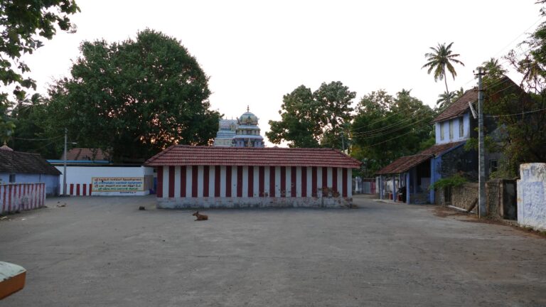 WhatsApp Image 2025-01-18 at 05.56.11_632b8d8f